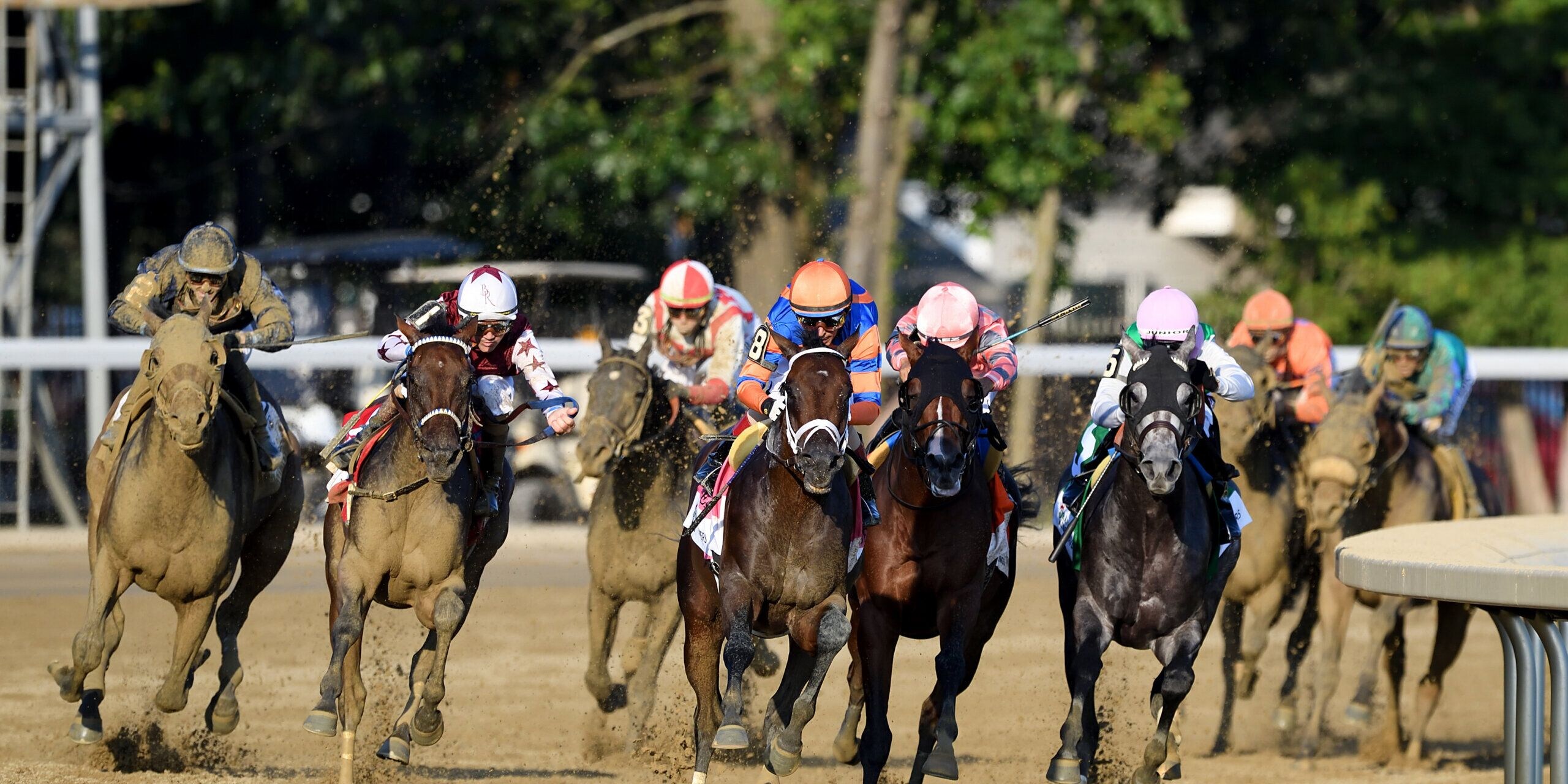 Fierceness turns for home in front in the Travers