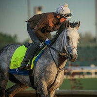 Final Gambit trains for the Kentucky Derby (Photo by Horsephotos.com)