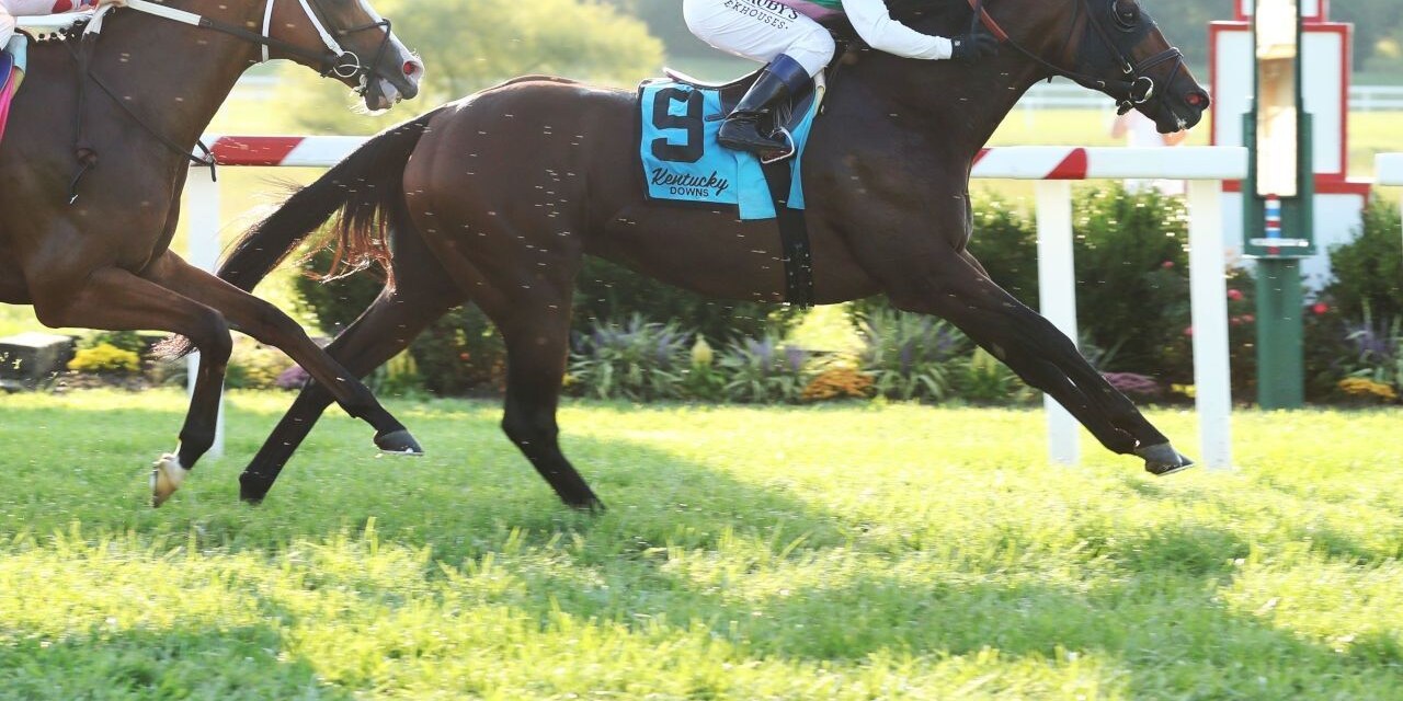 Racing at Kentucky Downs.