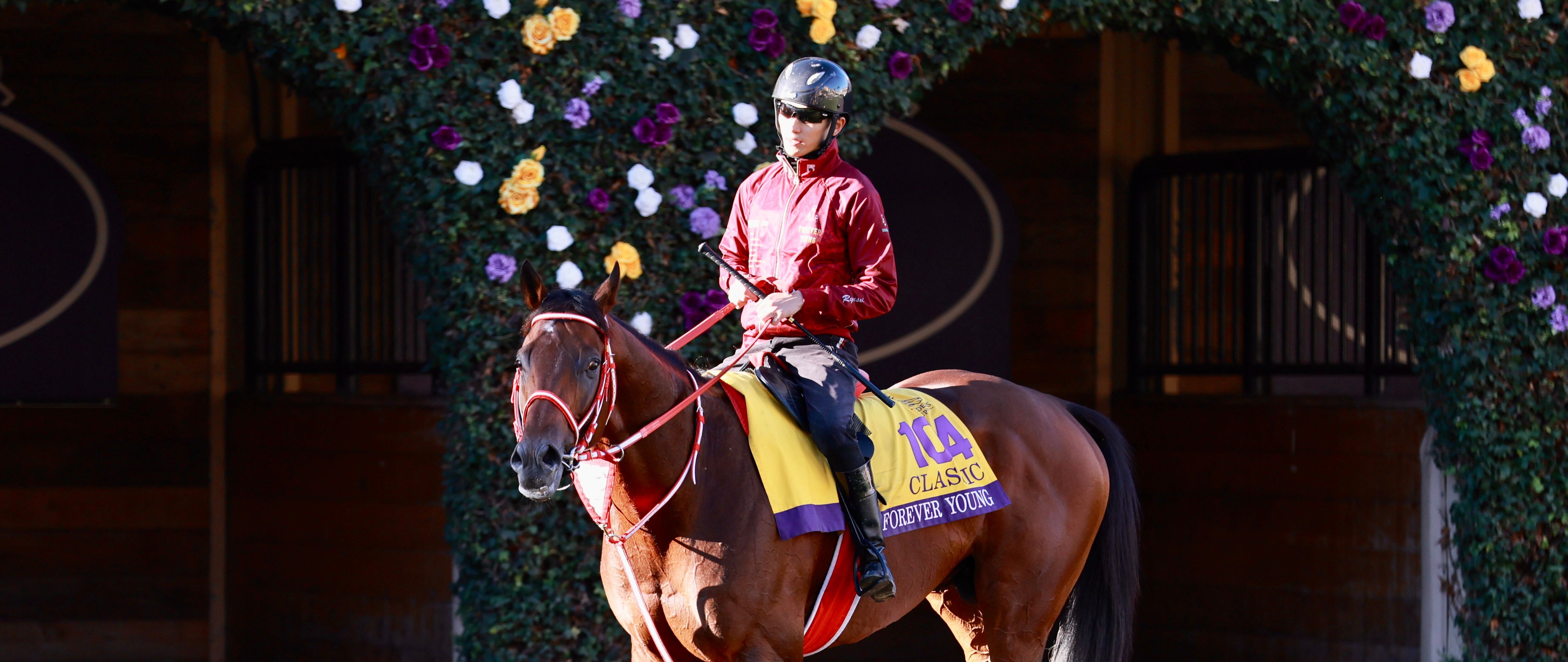 Forever Young in the Breeders' Cup Classic.