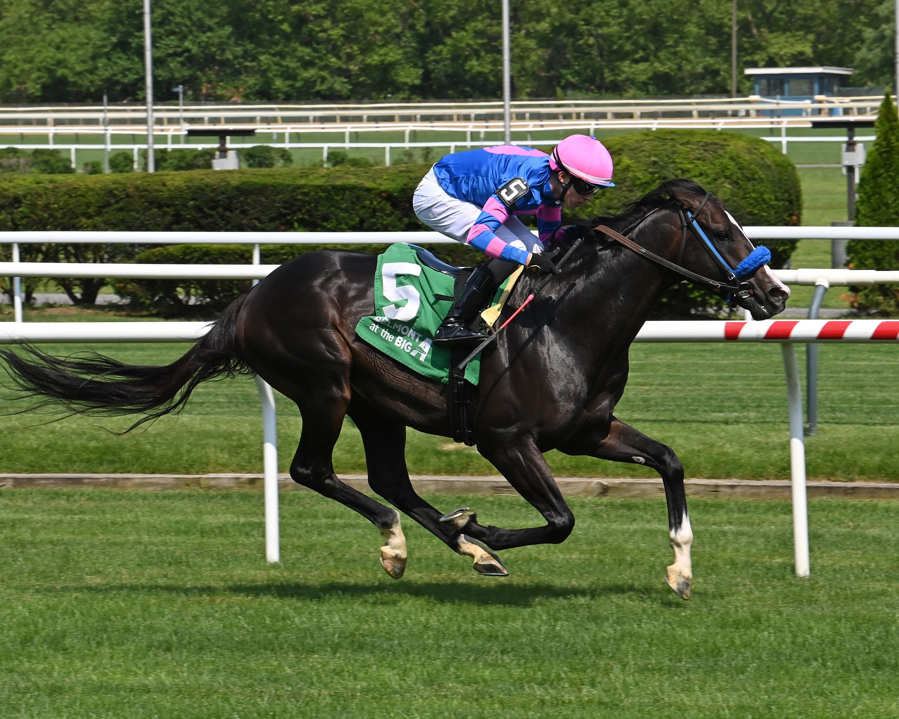 Friend Ofthe Devil wins the New York Stallion Stakes at Belmont at the Big A.