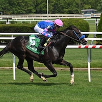 Friend Ofthe Devil wins the New York Stallion Stakes at Belmont at the Big A.