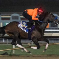 Full Serrano training for the Breeders Cup.