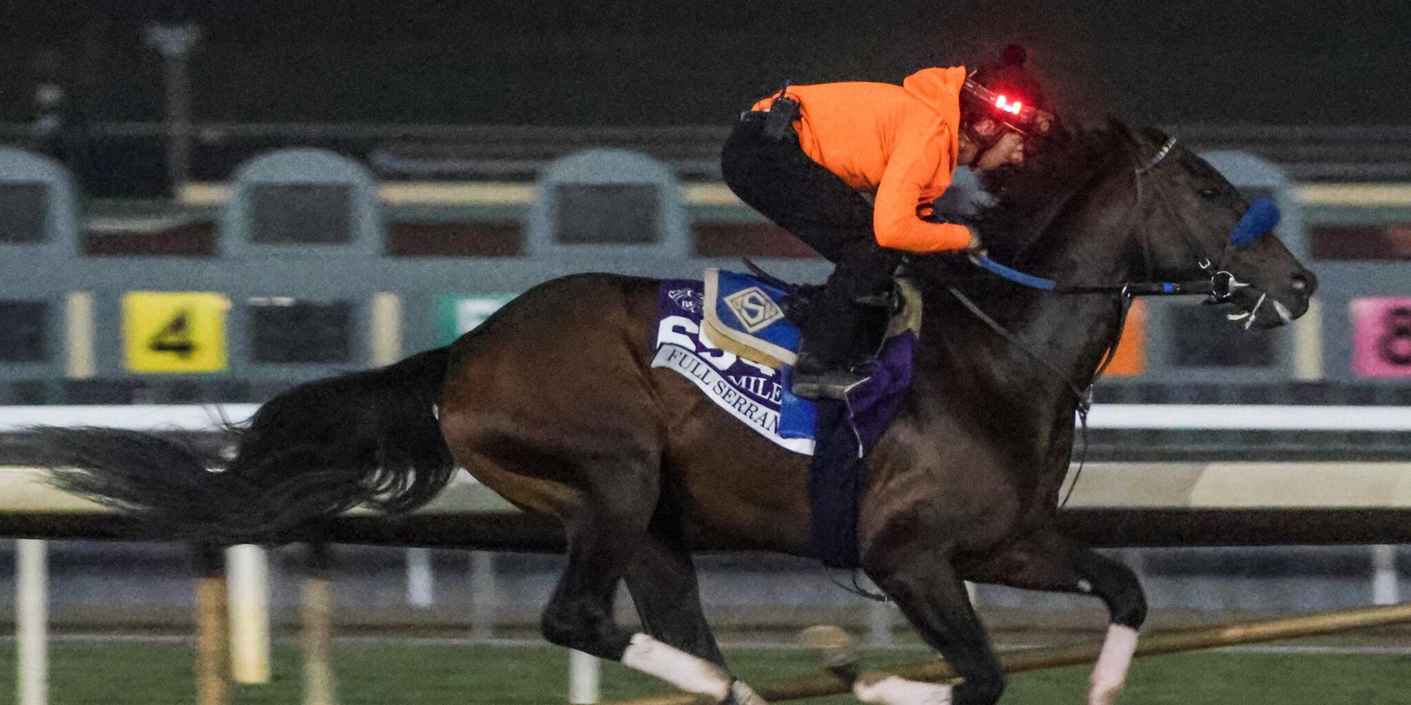 Full Serrano training for the Breeders Cup.