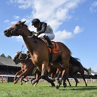Future is Now wins the Caress S. at Saratoga.