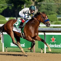 Gamine (Photo by Coglianese Photos/NYRA)