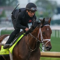 Grande trains for the Kentucky Derby (Photo by Horsephotos.com)