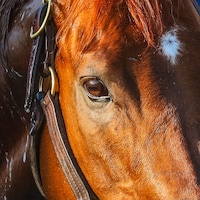 Close-up view of the face of Highland Falls