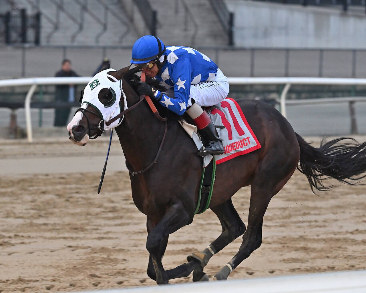 Hoist the Gold winning the 2023 Cigar Mile