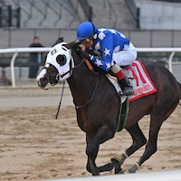 Hoist the Gold winning the 2023 Cigar Mile