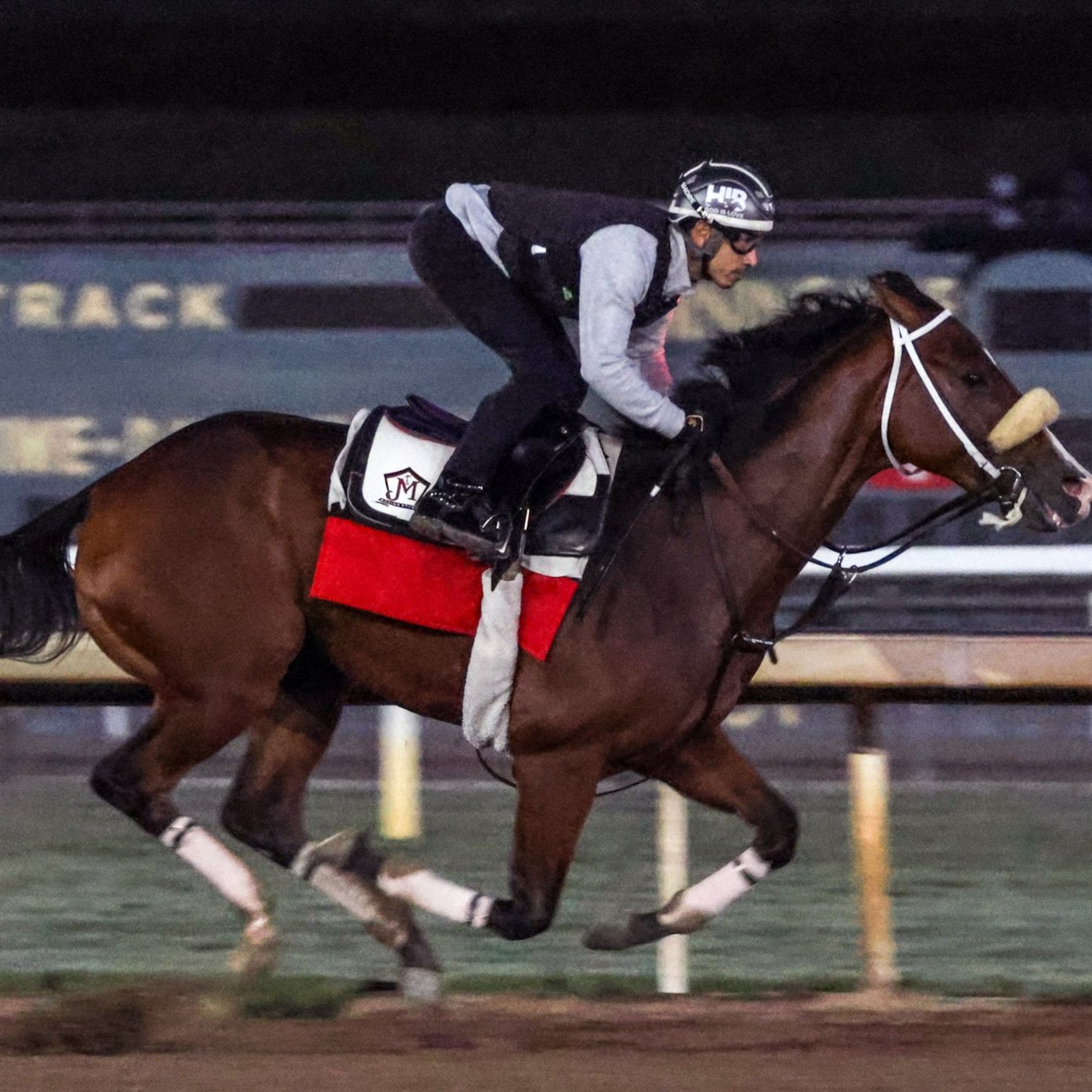 Intrepido training for the 2025 Breeders' Cup