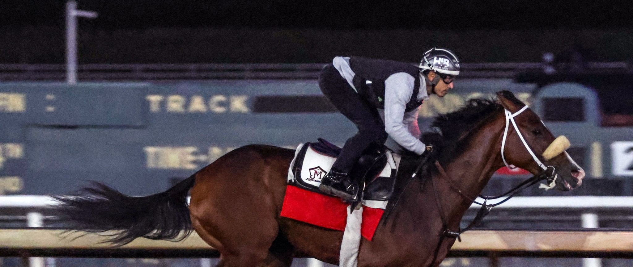 Intrepido training for the 2025 Breeders' Cup