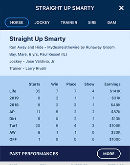 Bet like the Pros!