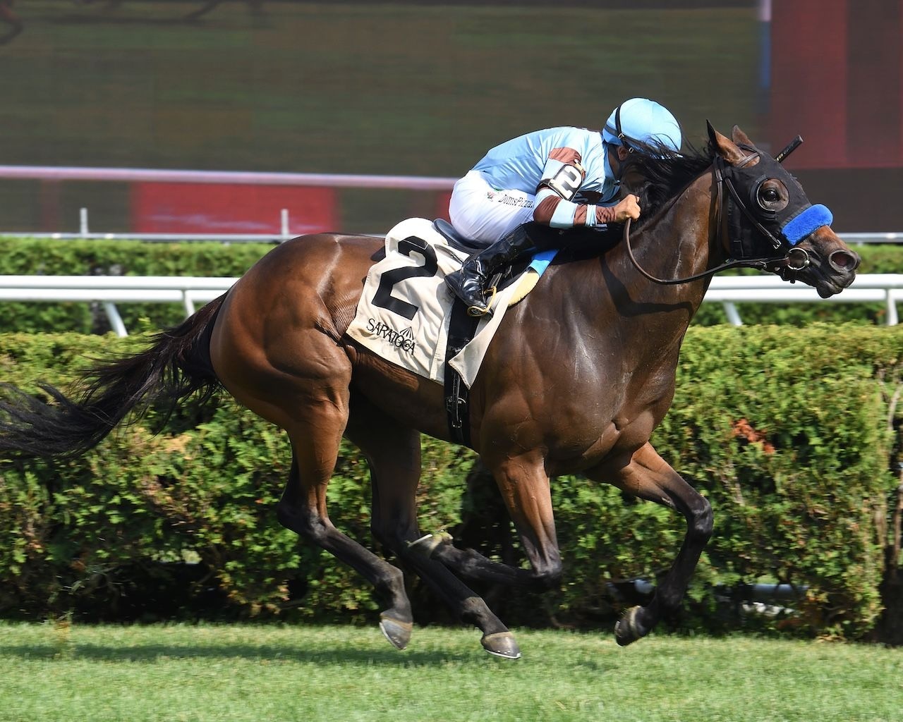 Italian Soiree wins the Coronation Cup at Saratoga.