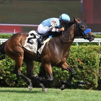 Italian Soiree wins the Coronation Cup at Saratoga.