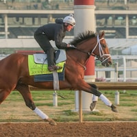 Journalism at Churchill Downs