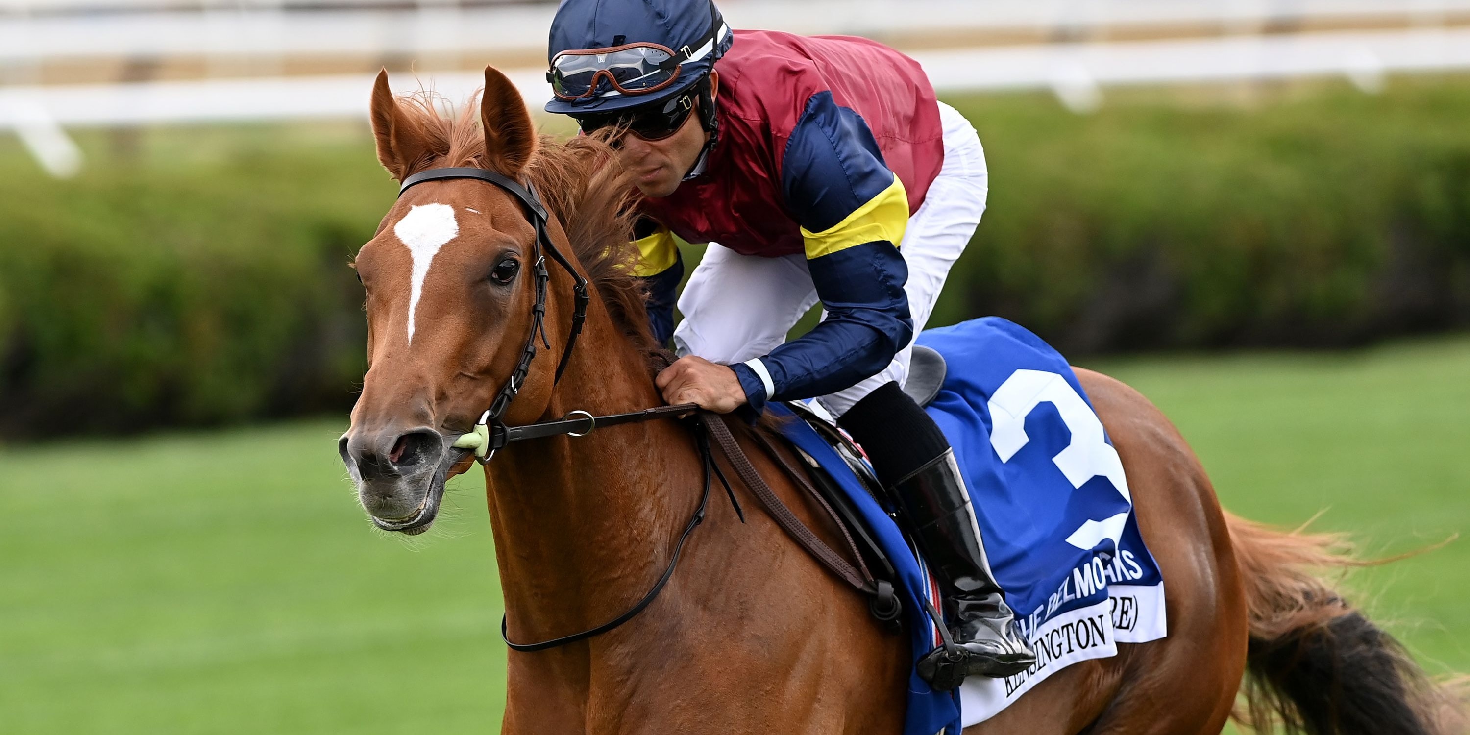 Kensington Lane winning the Belmont Oaks (G1) at Saratoga.
