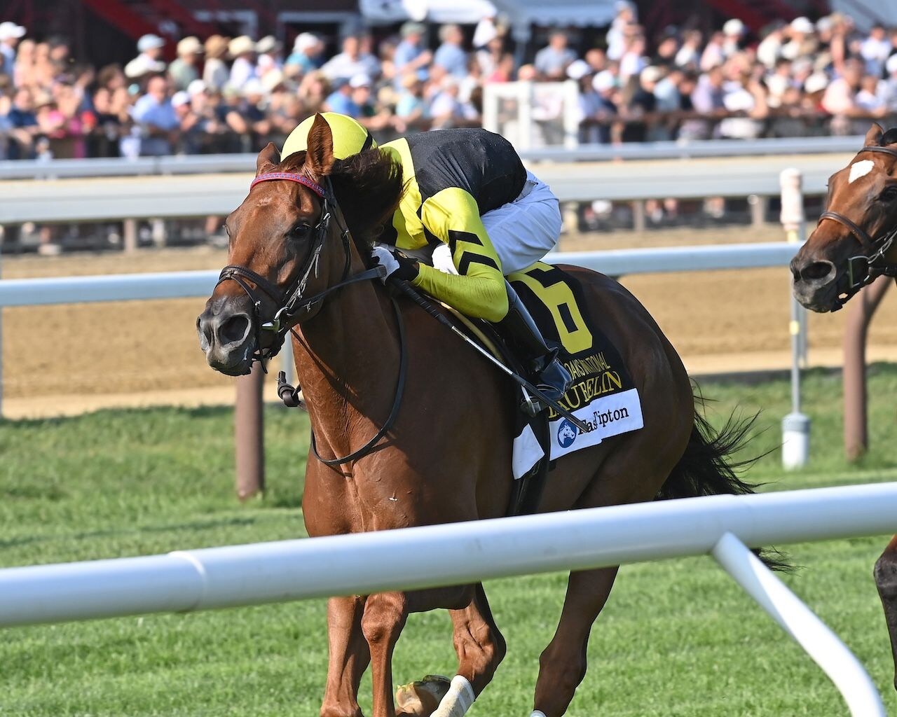Laurelin wins the Saratoga Oaks (G2)
