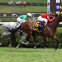 Leinster sets a Saratoga course record in the 2019 Troy
