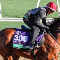 Minnie Hauk could be part of a record-setting Breeders' Cup for Aidan O'Brien