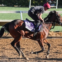 Mission Central trains for the Breeders' Cup (Photo by Horsephotos.com)
