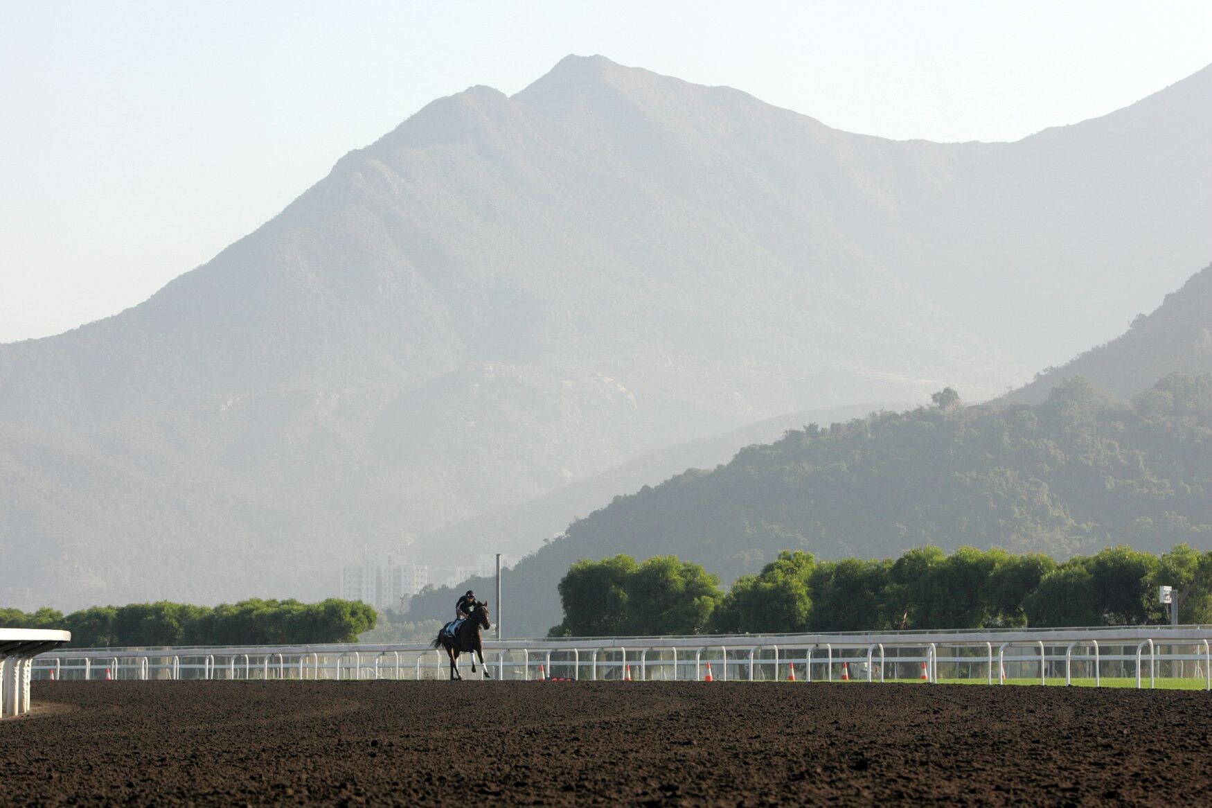 Sha Tin Hong Kong track scene (Photo by Horsephotos.com)