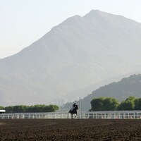 Sha Tin Hong Kong track scene (Photo by Horsephotos.com)