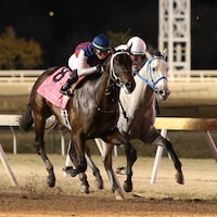 Otto the Conqueror defeating Glengarry in the Remington Springboard Mile S. at Remington Park (Photo by Dustin Orona Photography/Remington Park)