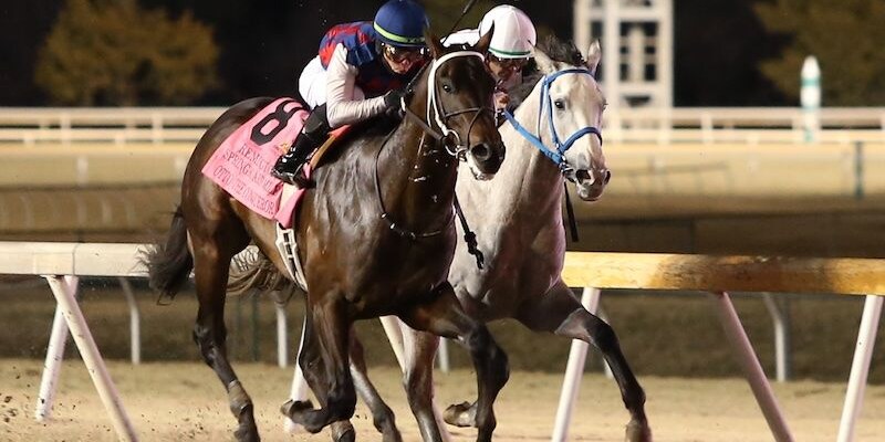 Otto the Conqueror defeating Glengarry in the Remington Springboard Mile S. at Remington Park (Photo by Dustin Orona Photography/Remington Park)