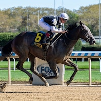 Pandagate winning his debut at Aqueduct (Photo by Coglianese Photos/Chelsea Durand)