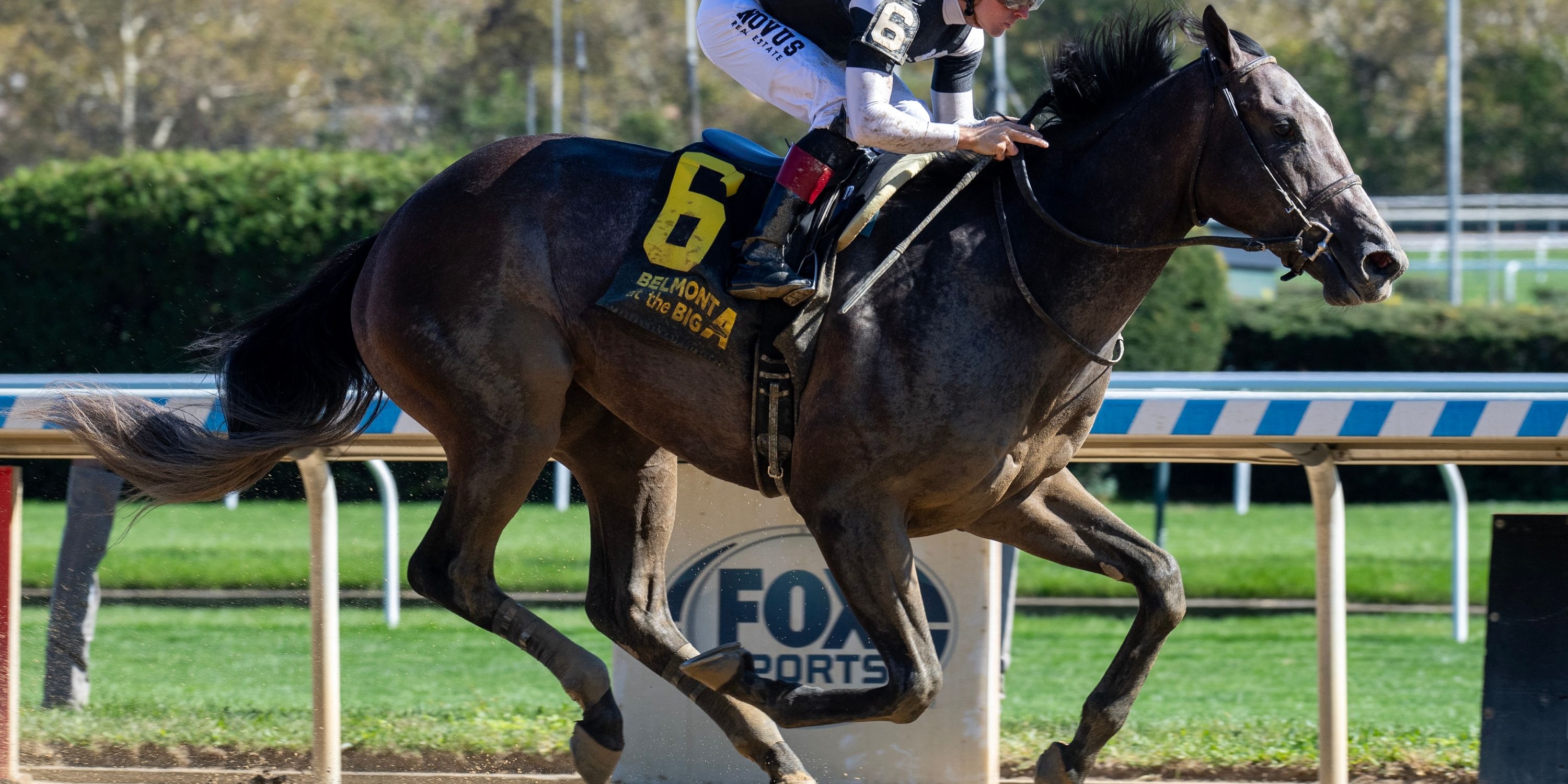 Pandagate winning his debut at Aqueduct (Photo by Coglianese Photos/Chelsea Durand)