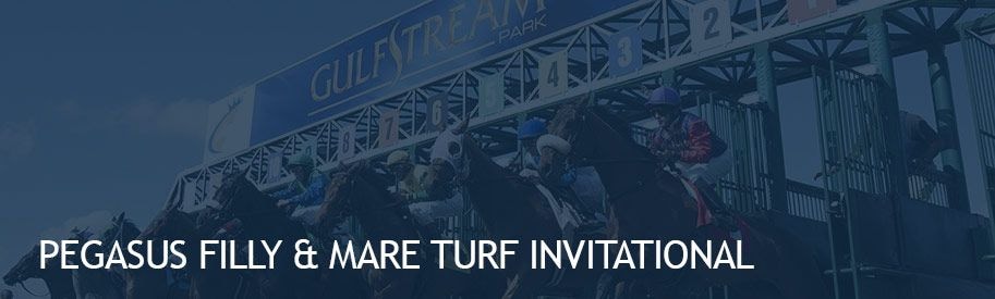 Pegasus Filly & Mare Turf