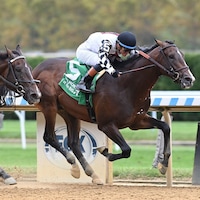Praetor breaking his maiden at Aqueduct (Photo by Chelsea Durand/Coglianese Photos)