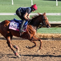 Precise trains for the Breeders' Cup at Del Mar 2025 (Photo by Horsephotos.com)