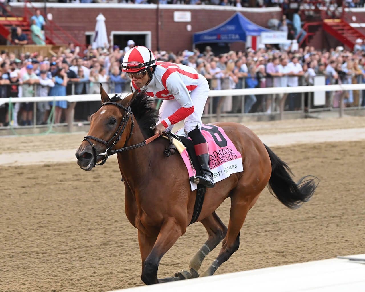 Randomized winning the Alabama (G1) at Saratoga