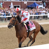 Randomized winning the Alabama (G1) at Saratoga