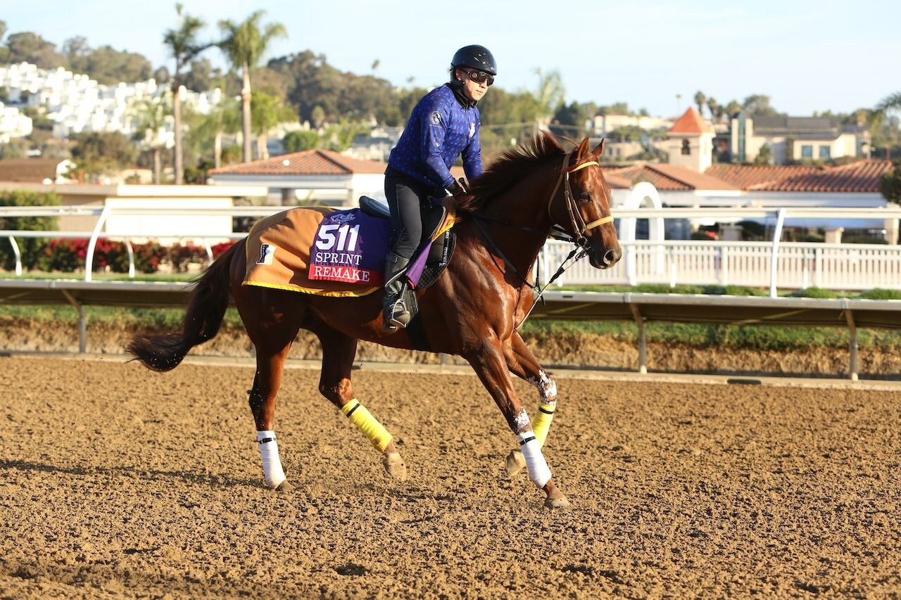 Remake works out prior to the Breeders' Cup.
