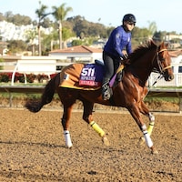 Remake works out prior to the Breeders' Cup.