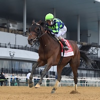 Resilience winning the Wood Memorial (G2) at Aqueduct (Photo by Coglianese Photos)