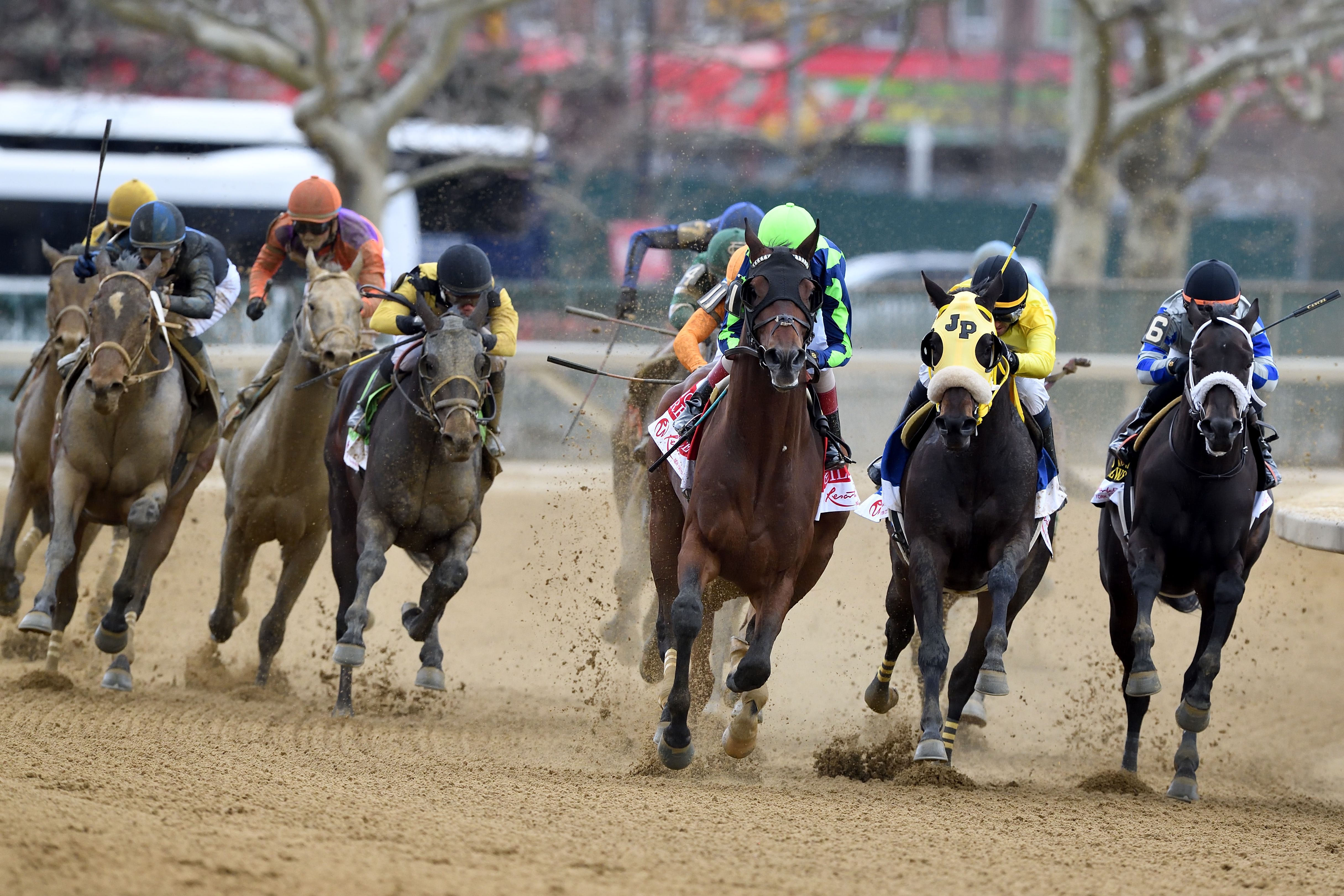 The field turns for home in the 2024 Wood Memorial (G2) at Aqueduct (Photo by Coglianese Photos/Dom Napolitano)