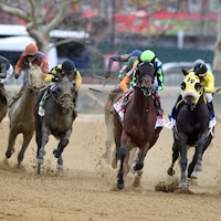 The field turns for home in the 2024 Wood Memorial (G2) at Aqueduct (Photo by Coglianese Photos/Dom Napolitano)