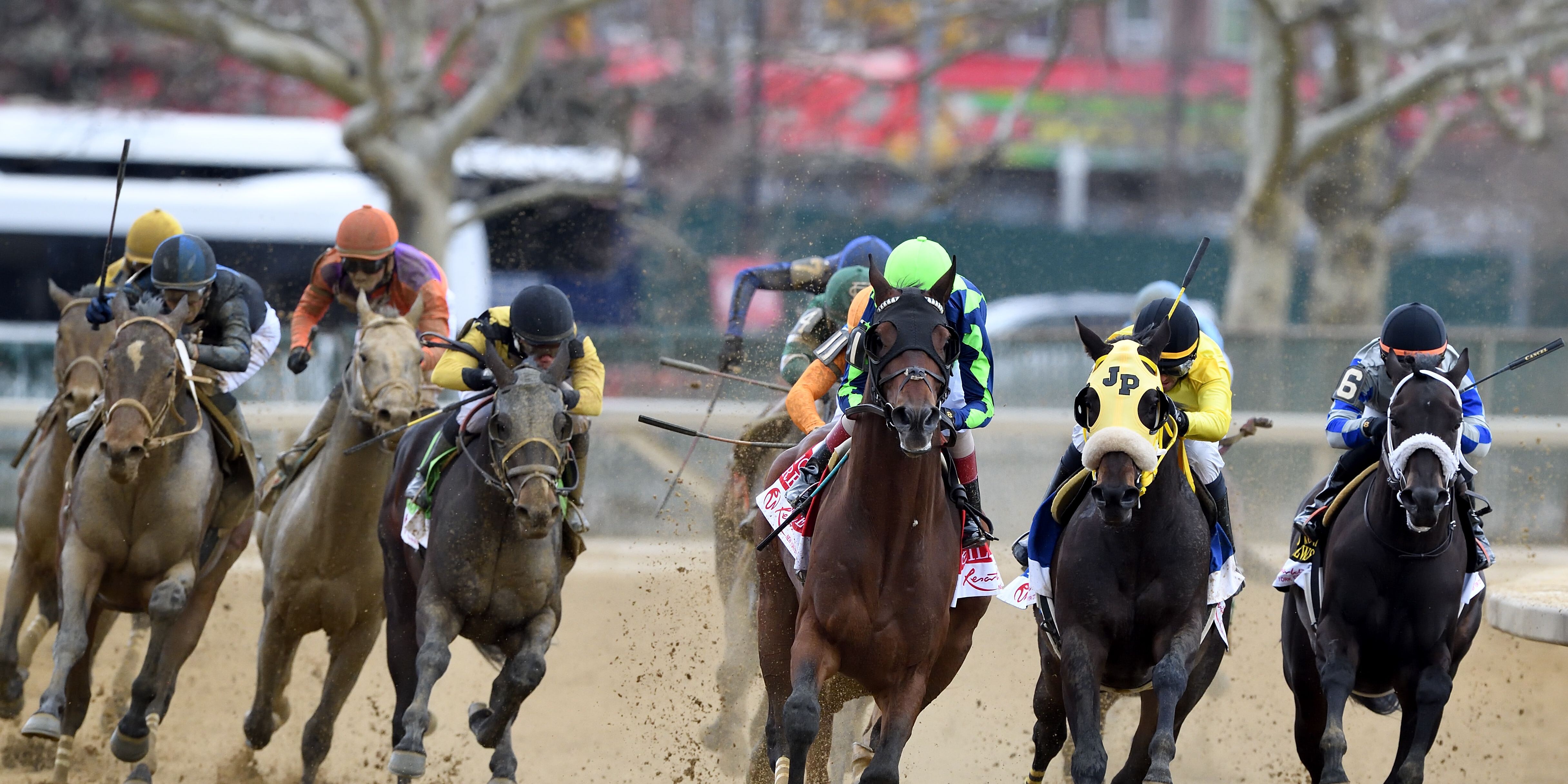 The field turns for home in the 2024 Wood Memorial (G2) at Aqueduct (Photo by Coglianese Photos/Dom Napolitano)