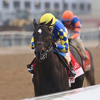 Rodriguez winning the 2025 Wood Memorial (G2) at Aqueduct