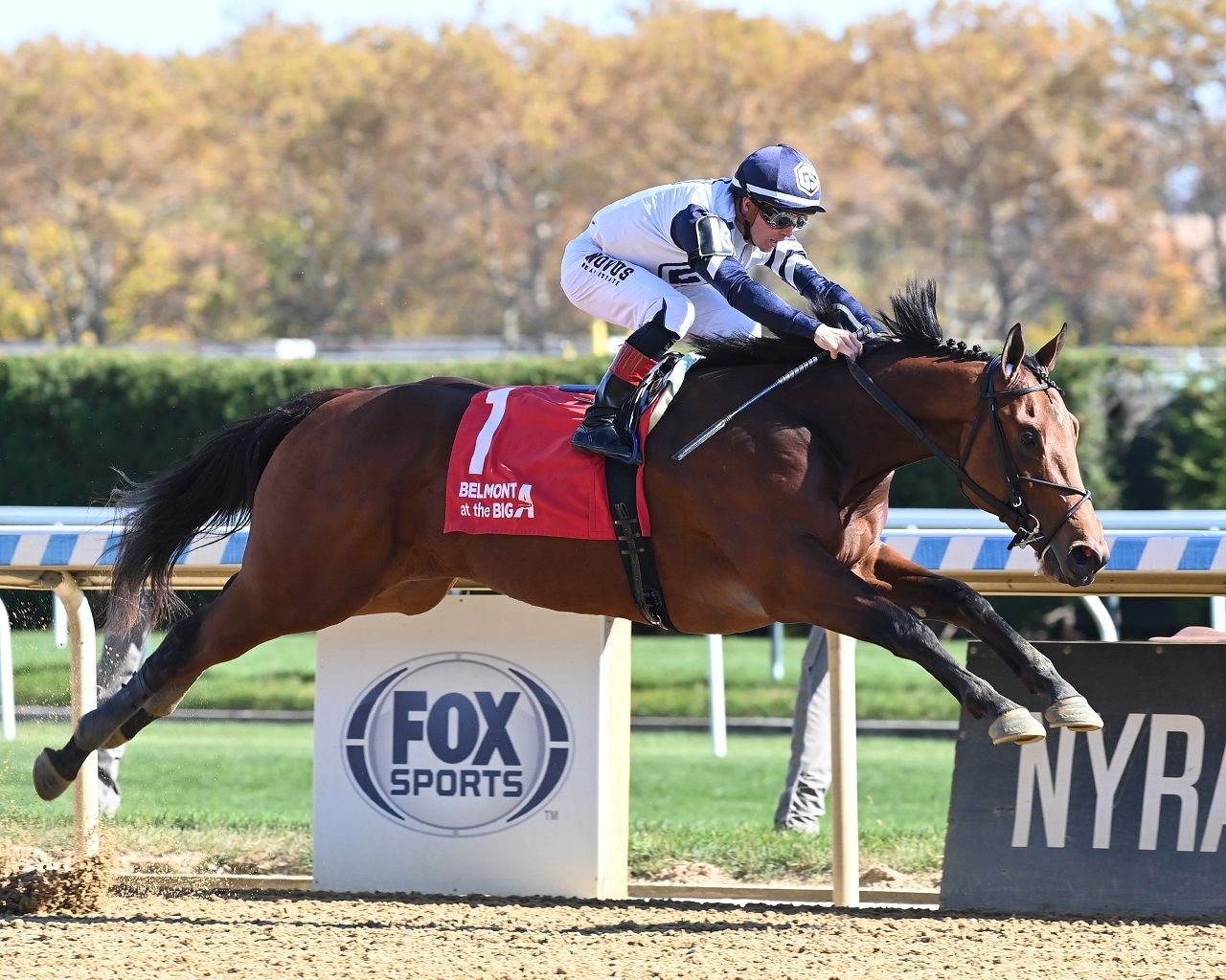 Rookie Card breaking his maiden at Aqueduct (Photo by Coglianese Photos/Chelsea Durand)
