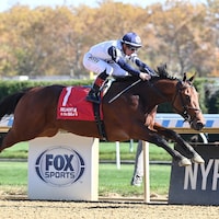 Rookie Card breaking his maiden at Aqueduct (Photo by Coglianese Photos/Chelsea Durand)