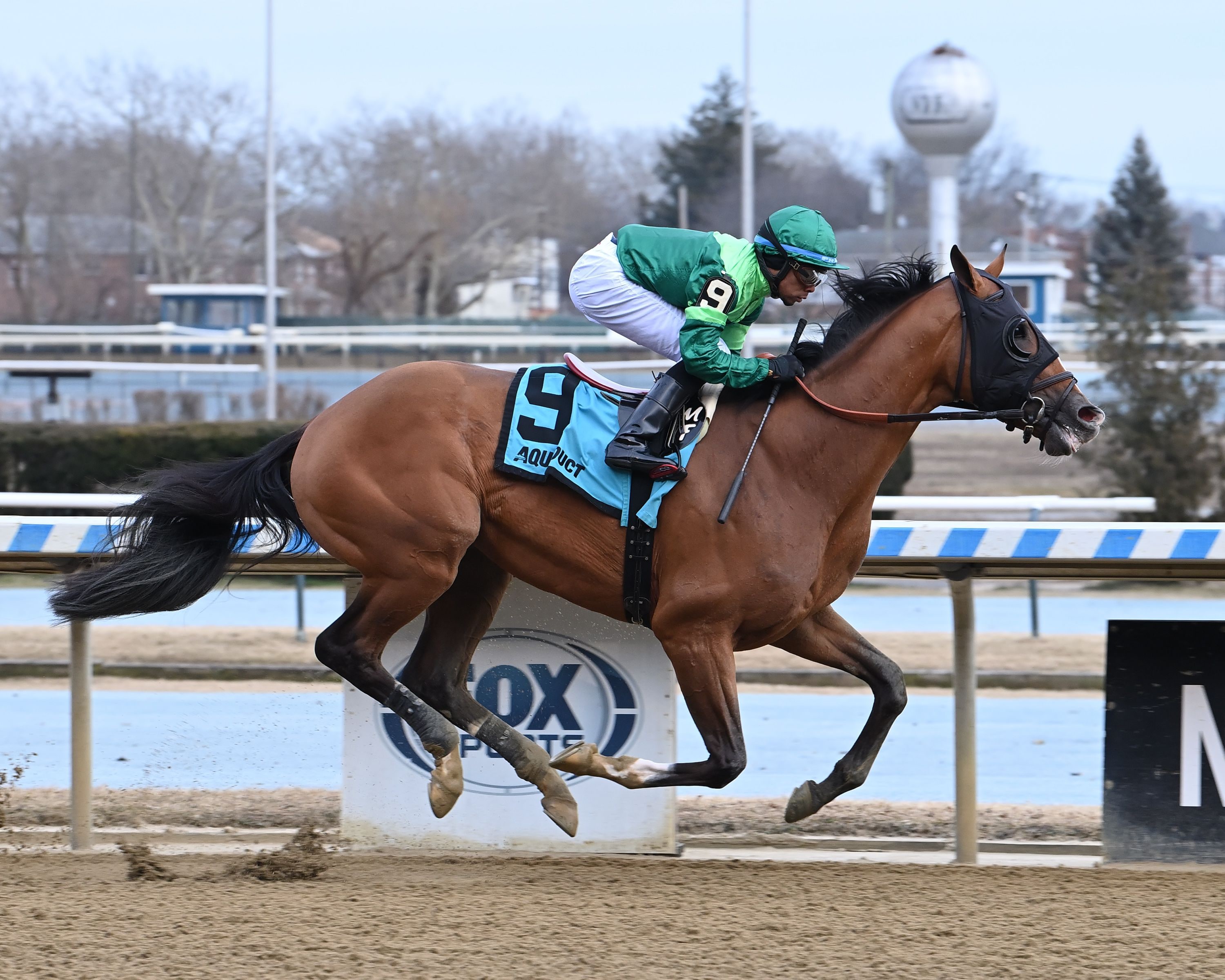 Saint Gaudens breaking his maiden at Aqueduct (Photo by Coglianese Photos)