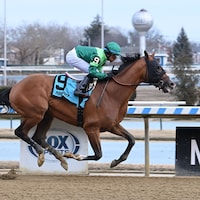 Saint Gaudens breaking his maiden at Aqueduct (Photo by Coglianese Photos)