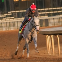 Sandman trains for the Kentucky Derby (Photo by Horsephotos.com)