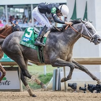 Seize the Grey winning the Pat Day Mile (G2) at Churchill Downs (Photo by Horsephotos.com)