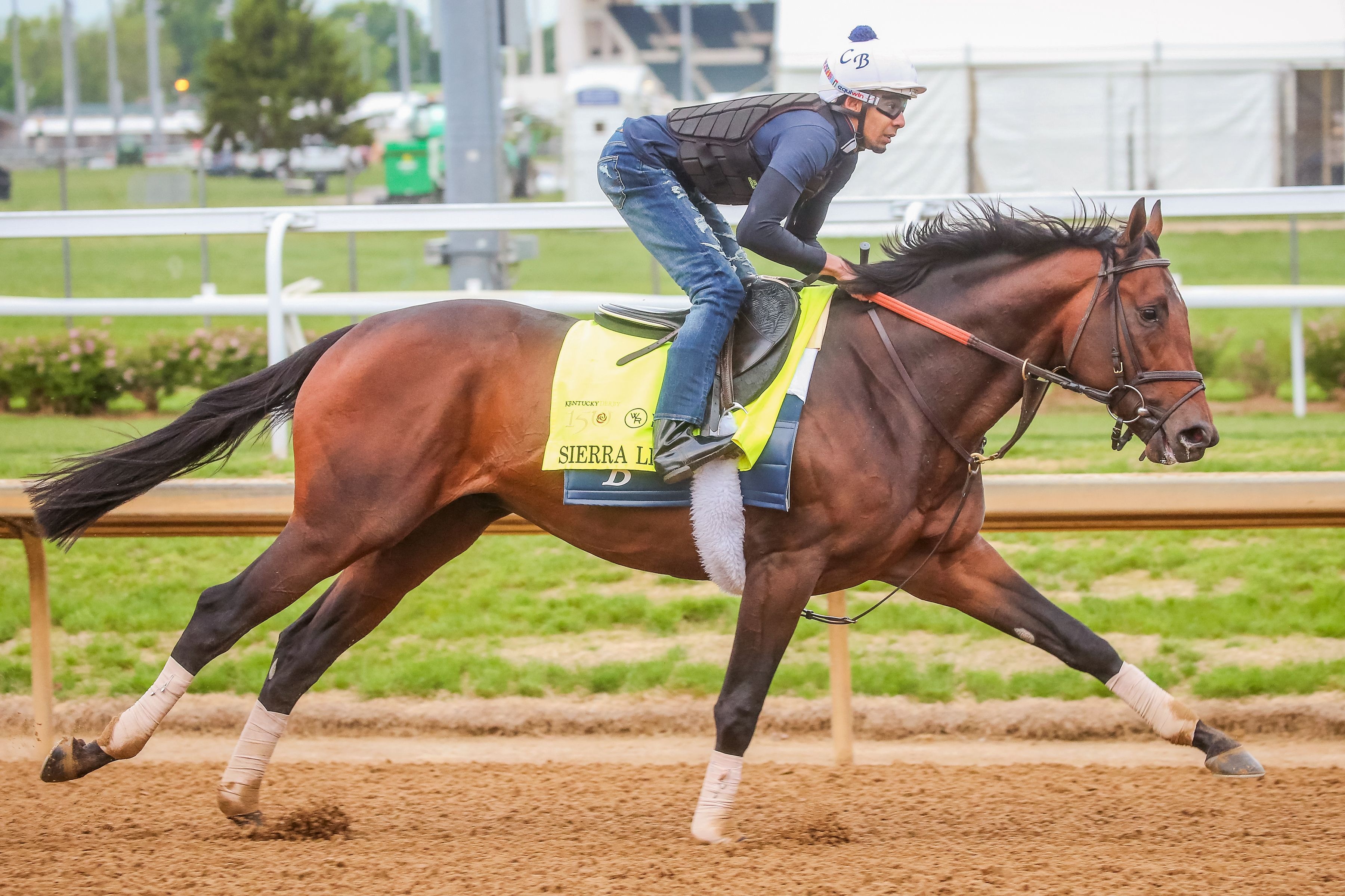 Sierra Leone training for the Kentucky Derby (Photo by Horsephotos.com)